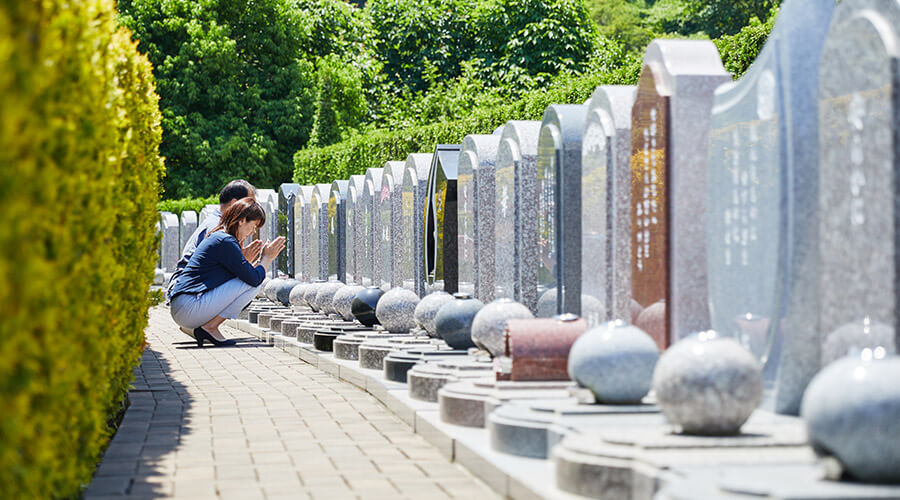 カンナの小径イメージ