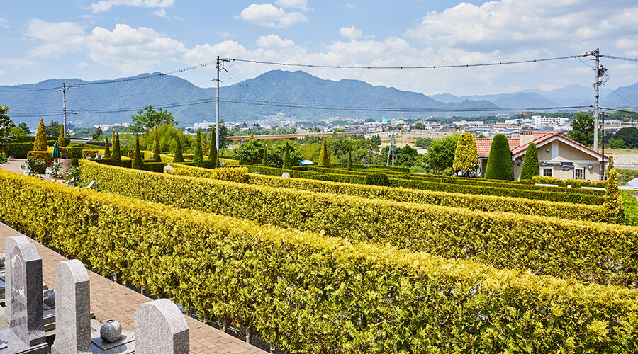 カンナの小径イメージ