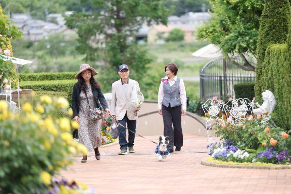 上田市霊園（公営霊園）と民間霊園の違いとは？ 後悔しないお墓選びのポイント